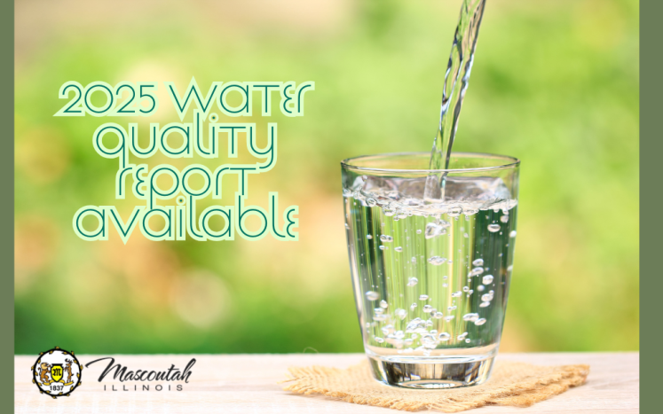 2025 Water Quality Report
